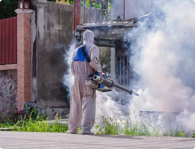 Mosquito Fogging & Larval/Adult Management